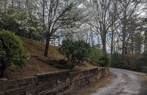 Glenville Cabina | BlackBeary Hideaway For Fun