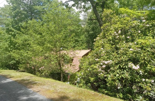Glenville Cabina | BlackBeary Hideaway For Fun