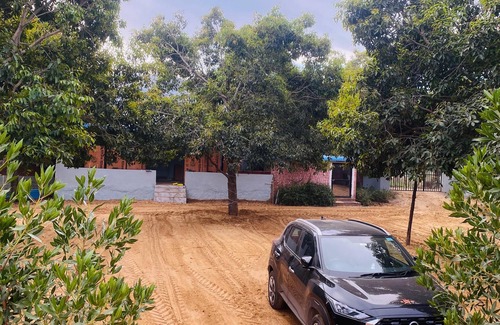 Pushkar Complejo | Blackberry Resort
