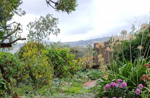 Tanunda Casa | Blackbird Cottage - Stunning views & farm animals