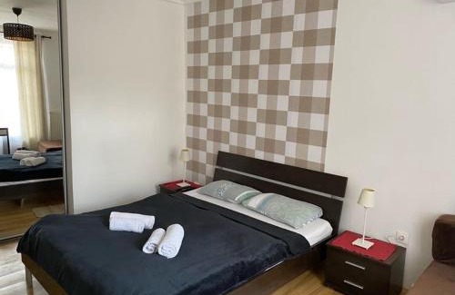 Nepszinhaz negyed Apartamento | Blaha Nice View Apartment