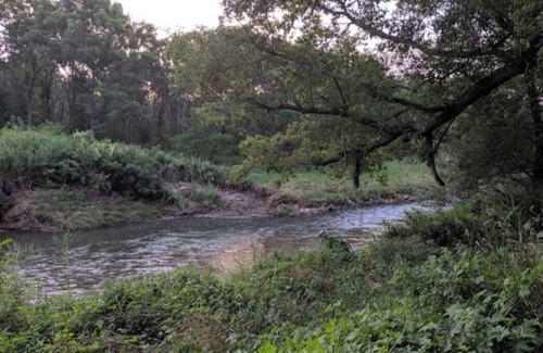 Viroqua Alquiler De RV | Blakley Hobbit Campground-Tent spot #9