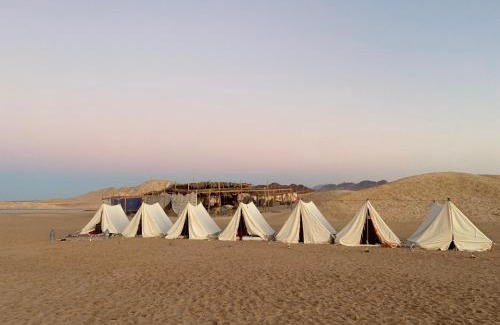 Sharm El Sheikh Otro | Blend in Nature Eco Camp Beachfront Stay in Ras Mohamed, Sharm El Sheikh