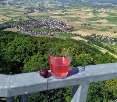 Wutoeschingen Apartamento | Blick ins Wutachtal