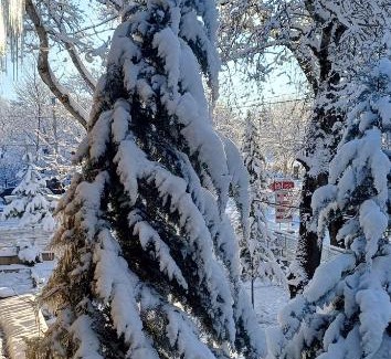 Gabala Hotel | Bliss Hotel & Restaurant