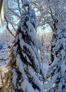 Gabala Hotel | Bliss Hotel & Restaurant