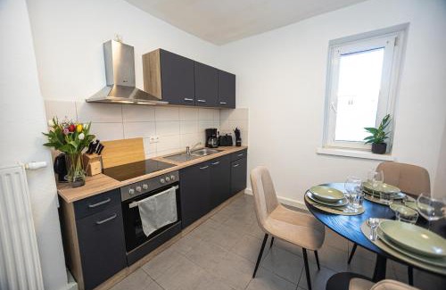 Jena-Zentrum Apartamento | Bloßfeld-Apartments Geräumige Stadtoase mitten im Zentrum mit 3 Schlafzimmern, Gratis Parkplatz, W-Lan, Netflix