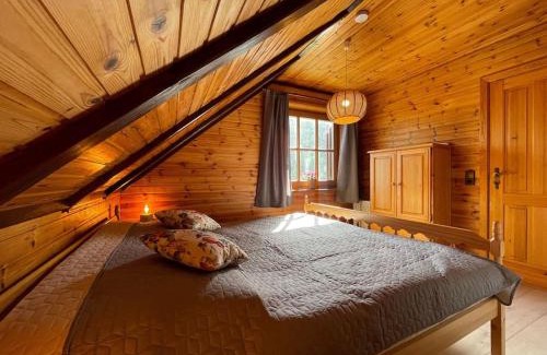 Altenau Apartamento | Blockhausflair mit Kamin, Balkon und Bergpanorama