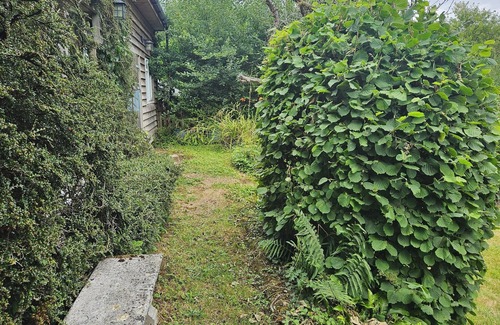 Burstock Cabaña | Bloom Cottage – 3 bedroom countryside family retreat w/garden & views