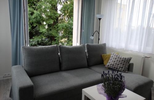 Lubon Apartamento | Blue Apartament