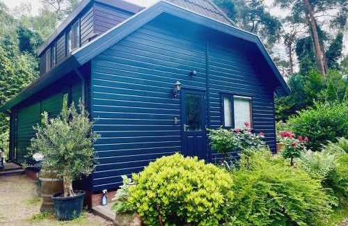 Municipality of Elburg Chalet De Esquí | Blue Artist chalet Veluwe