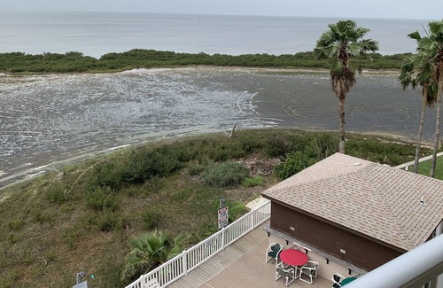 South Padre Island Hotel | Blue Bay Inn & Suites