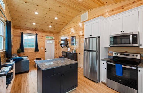 Stanley Cabina | Blue Birch Cottage: A Romantic Couple's Cabin!