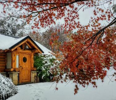 Golondrinas Chalet De Esquí | Blue Bird House