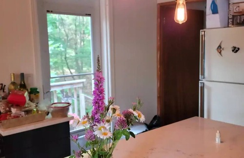 Athens Cabaña | Blue Bird's Nest - cozy 3 bedroom lakeside cottage
