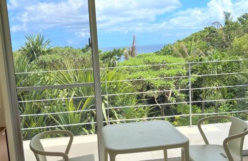 Ishigaki Hotel | Blue cave Blue in Green - Vacation STAY 31651v