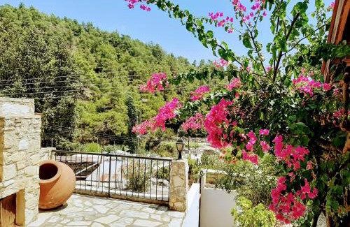 Apsiou Casa | Blue Cottage