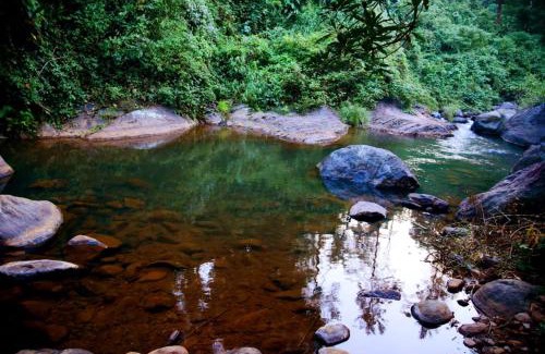Vayittiri Otro | BLUE CREEK resort