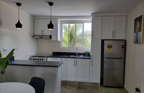 Santiago de los Caballeros Apartamento | Blue Mountain View