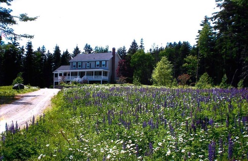 Blue Hill Casa | Gran casa de campo en 24 acres, Blue Hill, Maine, EE.UU.