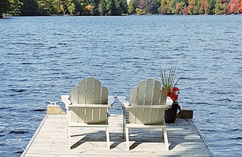 Lake of Bays Apartamento | Blue Heron Cove c / w Algonquin Pass y raquetas de nieve. ¡Traiga a su mascota gratis!