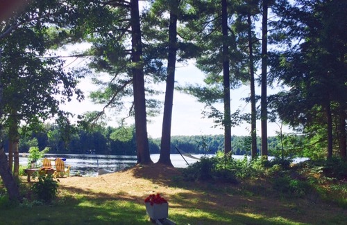 Lake of Bays Apartamento | Blue Heron Cove c / w Algonquin Pass y raquetas de nieve. ¡Traiga a su mascota gratis!