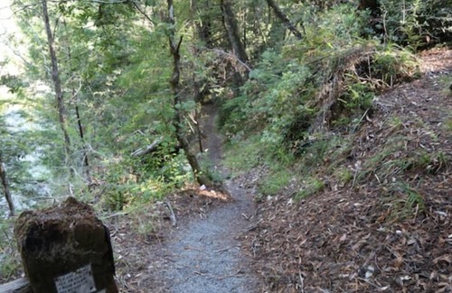 Garberville Apartamento | "Blue Heron" Suite River Access In Redwoods WiFi