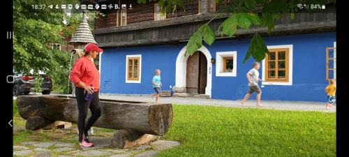 Ramingstein Apartamento | Blue House