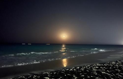 Marsa Matruh Villa | Blue House villa