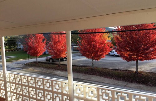 Clayton Apartamento | Alquiler de vacaciones en Blue Moon Downtown Clayton
