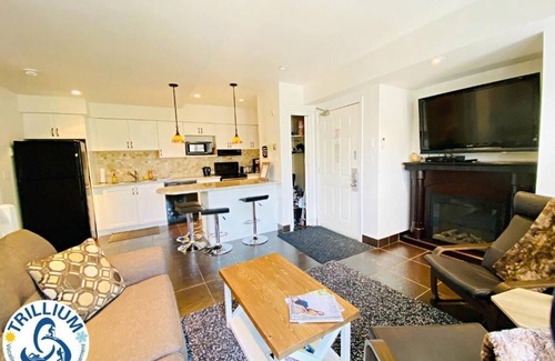 Craigleith Apartamento | Blue Mountain Suites