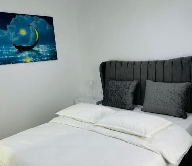 Falticeni Apartamento | Blue Queen