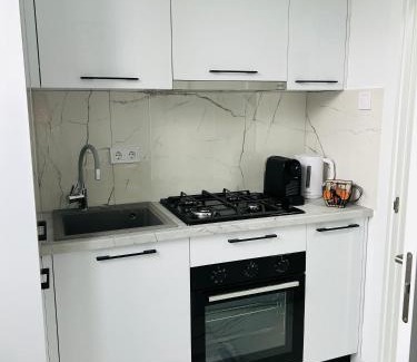 Falticeni Apartamento | Blue Queen