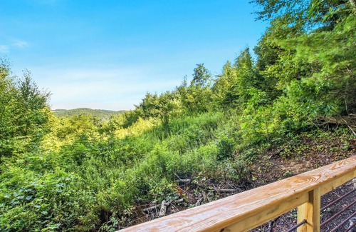 Laurel Springs Cabina | Blue Ridge Parkway / Off-Grid Cabin / Glamping / Hummingbird Hideaway
