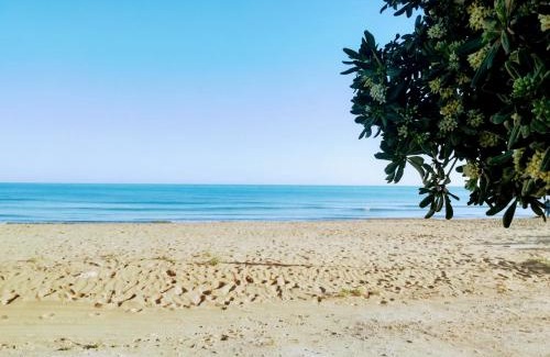 Punta Braccetto Apartamento | Blue Sea Apartment