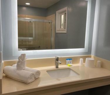 Downtown Hotel | Blue Seal Inn