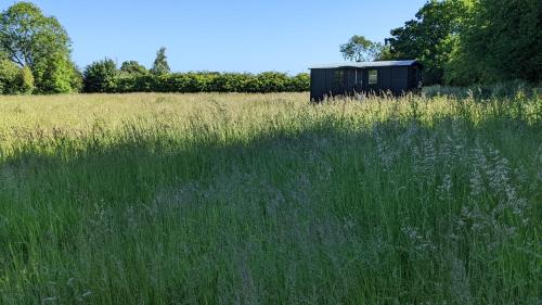 Chediston Otro | Blue Sky Huts