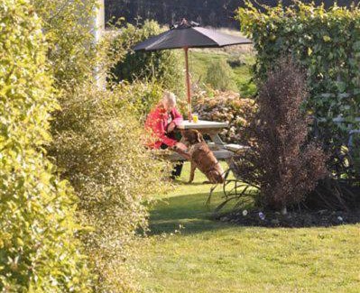 Te Anau Casa | Blue Thistle Cottages