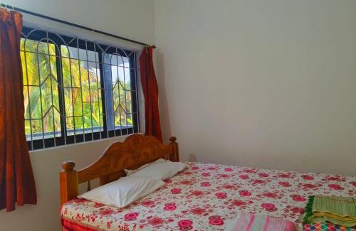 Patnem Casa | Blue whale
