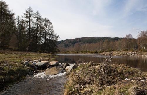 Contin Casa | Bluebell Lodge - Sleeps 4 Hot Tub Loch & Woodland