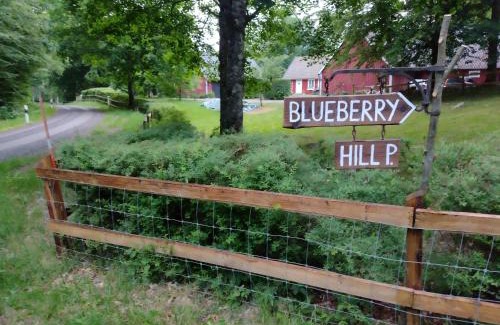 Orkelljunga Municipality Casa | Blueberry Hill