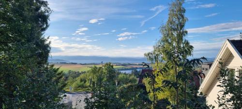 Levanger Apartamento | Blueberry road