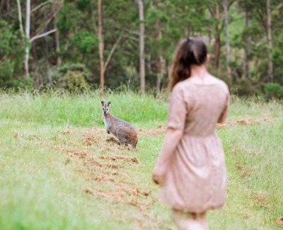 Bandon Grove Casa | Bluegums Cabins Barrington Tops
