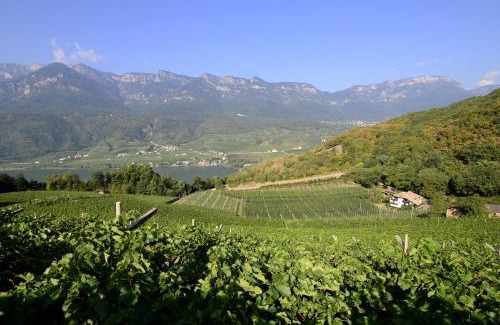 Campi al Lago Cama Y Desayuno | BNB Garni Kreithof