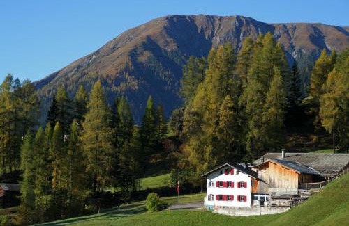 Davos Apartamento | BnB Guesthouse Lusi