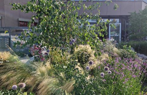 Steinen Apartamento | Boardinghouse Steinen