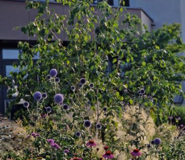 Steinen Apartamento | Boardinghouse Steinen