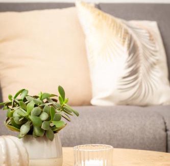 Georgsmarienhuette Apartamento | boardinghouse44