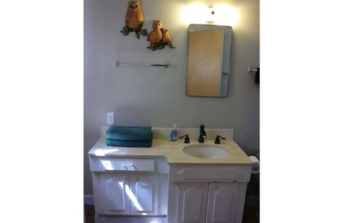 Pine Cove Apartamento | Bob Ross Cabin