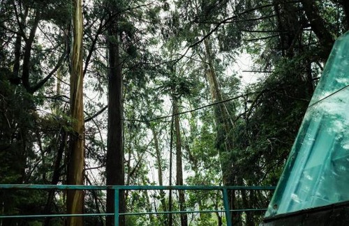 Pudumund Complejo | BOB'S WOODSIDE BUNGALOW